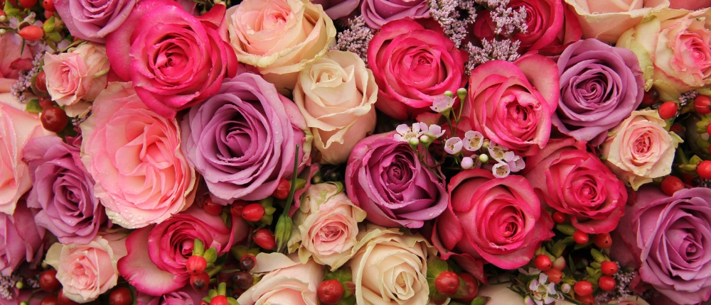 5_result